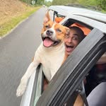 Angelo Angelos - @angeloalbya - Instagram