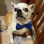 Angelo Annese - @annese.angelo.1962 - Instagram