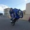 angeloannese342 - @angeloannese342 - TikTok