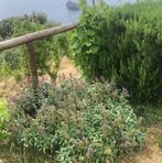 Ansaldo Angelo - Facebook