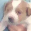 Angelo Anthony - @angelo.anthony15 - TikTok