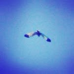 Angelo Antonacci - @antonacciangelo - Instagram