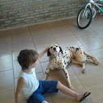 Angelo antonini - @gellanzinho - Instagram