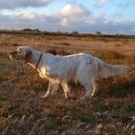 Angelo Aprile Zanetti - @aprilezanetti - Instagram