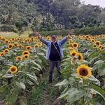 Angelo Araneta - @aoaraneta - Instagram