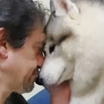 Angelo Arcamone - @angelo_arcamone_ - Instagram