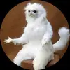 Angelo Arcos - @angelo.arcos4 - TikTok