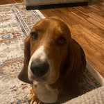 Angelo Aresco - @idahoangelo246 - Instagram
