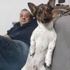 Angelo Argentieri - @angelo.argentieri - TikTok