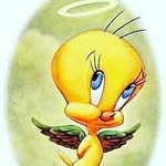 Angelo Arguello - @angelo.arguello - Instagram