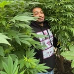 Angelo Ariza - @angelo_ariza1923 - Instagram