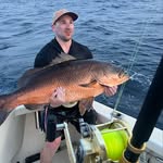 @angelo_arpaia - Instagram