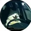 angeloaugello237 - @angeloaugello237 - TikTok