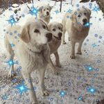 Angelo Barbieri - @barbieri8834 - Instagram
