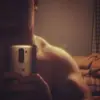 Angelo Bennett - @angelobennett7 - TikTok