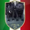 Angelo Calabrese103 - @angelocalabrese10 - TikTok