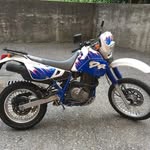 @angelo.canale.142 - Instagram