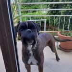 Angelo Cancelliere - @cancelliere.angelo - Instagram