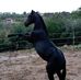 Angelo Cancelliere - Facebook