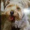 Angelo Carbone - @angelo.carbone25 - TikTok