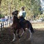 Angelo Cardenas Rebolledo - @angelo_cardenas_rebolledo_ - Instagram