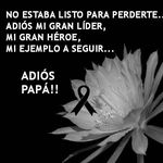 Angelo Casillas - @angelo.casillas.12 - Instagram