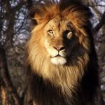 Angelo Castano - @castangelo1 - Instagram