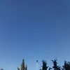 Angelo Castano - @angelocastano0 - TikTok