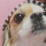 Angelo Daniel Rendon Salazar - @angelo.daniel - Instagram