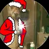 Angelo Fabian free firee ff - @angelo.fabian62 - TikTok