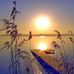 Angelo Gallina - Facebook