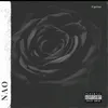Angelo Gamba - @angelogamba0 - TikTok