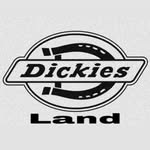 Angelo Gordillo - @dickies_land - Instagram