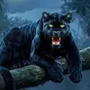 🍁🐾🐅🐆💣PANTERA🍁🐾🐅🐆💣QZD - @angelo.gordillo6 - TikTok