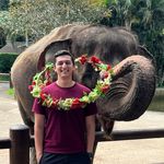 Angelo Grossi - @adgrossi - Instagram