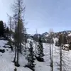 Angelo Grossi - @angelogrossi - TikTok