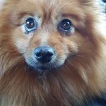 Angelo Grossi - @ange.lbig - Instagram
