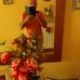 Angelo Marsella - Facebook
