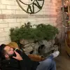 Angelo Masullo - @angelo.masullo0 - TikTok