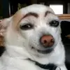 Angelo. - @angelo.mayuga3 - TikTok
