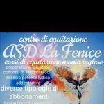 angelo miccichè - @asd_la_fenice_ - Instagram