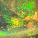 Shane Angelo Micciche - @starlight.radiation - Instagram