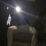 Mikey Lee - @angelo_mitchell_15 - Instagram
