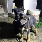 Angelo Naro - @naroangelo - Instagram