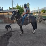 angelo_tu_negrito - @_angelo_andrade_17 - Instagram