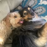 Angelo Nelson - @hades115935_ - Instagram