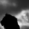 Angelo Neri - @angeloneri1956 - TikTok