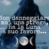 Angelo Nero - @angelo.nero971 - TikTok