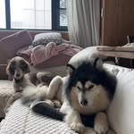 Nicholas di angelo - @angelonicholasdi - Instagram
