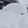 Angelo Nicolai - @angelo.nicolai - TikTok